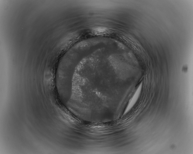 X0000099490653200805291108