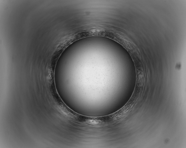 X0000099490654200805291108