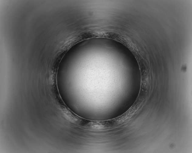 X0000099490658200805291108