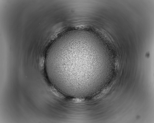 X0000099490660200805291108