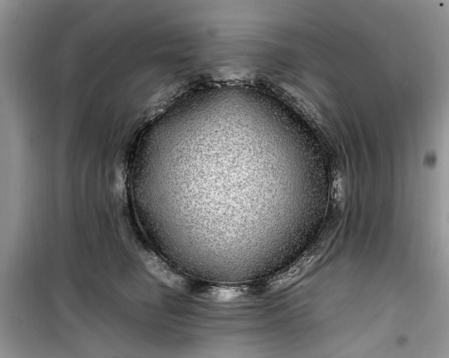 X0000099490662200805291108