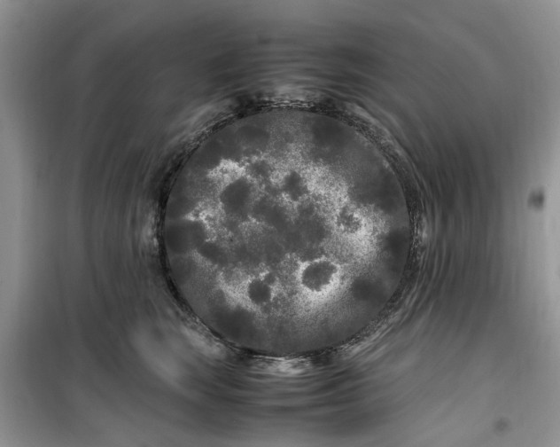 X0000099490663200805291108