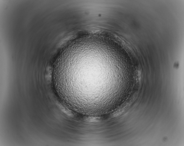 X0000099490664200805291108