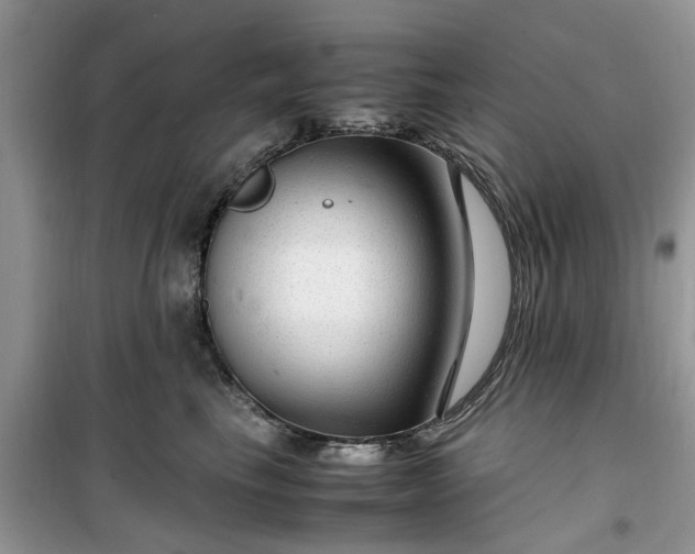 X0000099490665200805291108