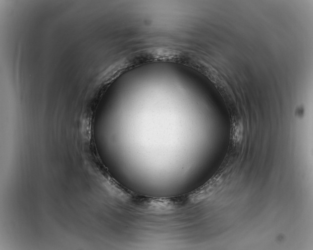 X0000099490666200805291108