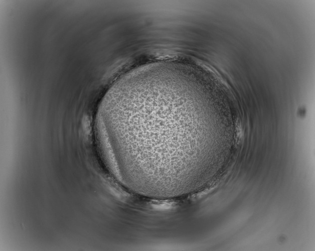 X0000099490667200805291108