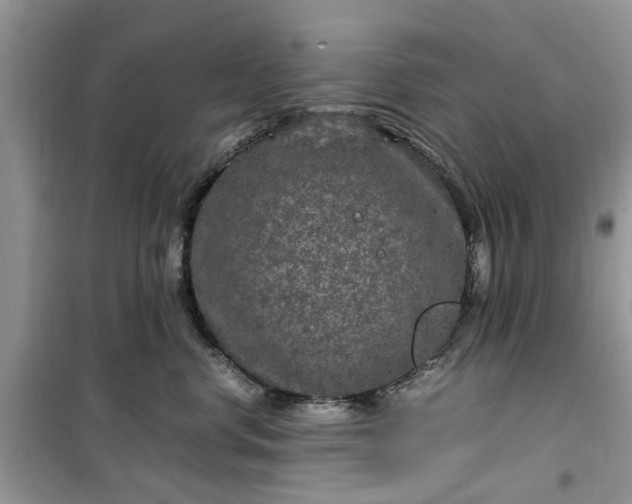 X0000099490668200805291108