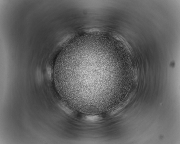 X0000099490669200805291108