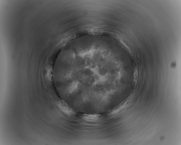 X0000099490671200805291108