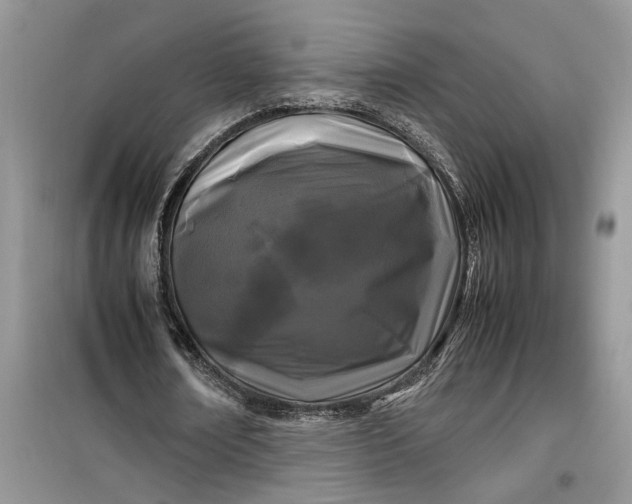 X0000099490674200805291107