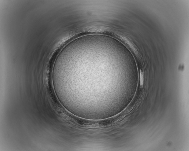 X0000099490675200805291107