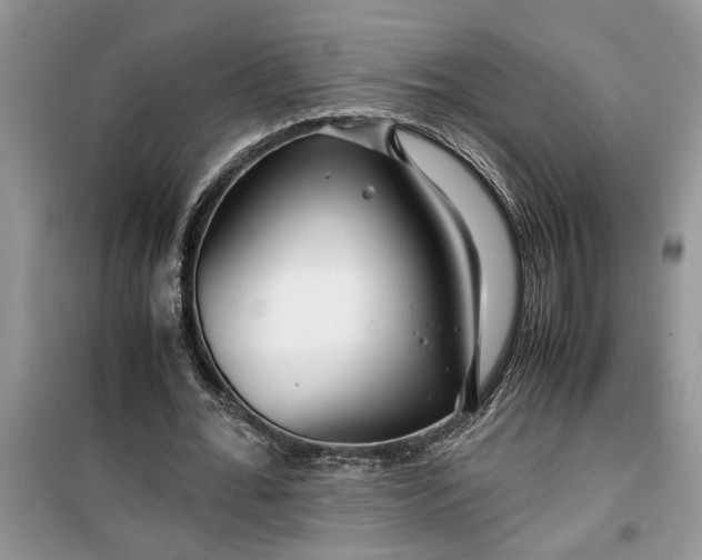 X0000099490676200805291107