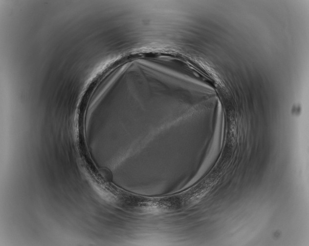 X0000099490678200805291107