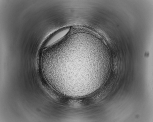 X0000099490680200805291107