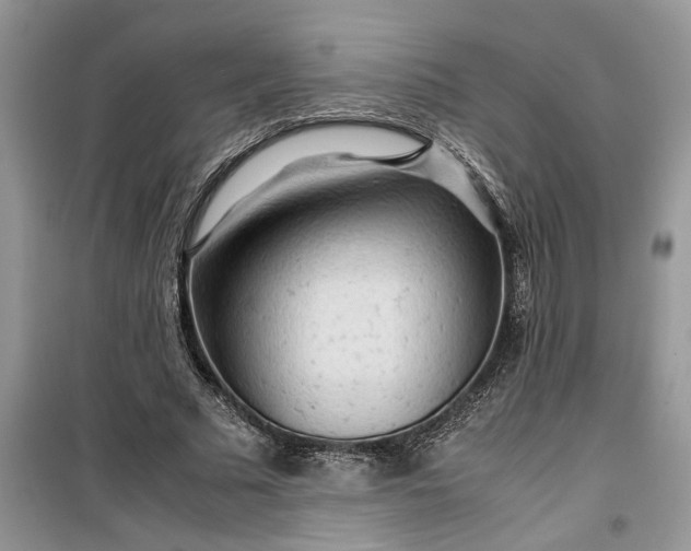 X0000099490681200805291107