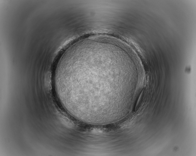 X0000099490684200805291107