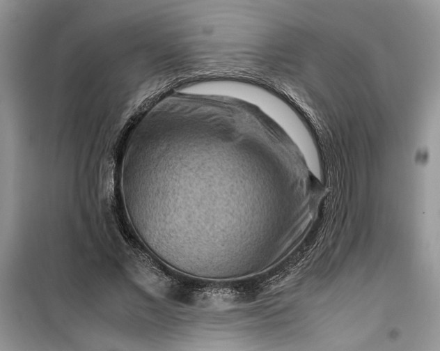 X0000099490685200805291107