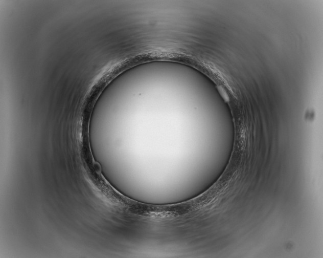 X0000099490686200805291107