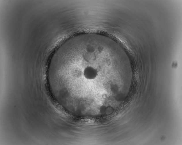 X0000099490687200805291107