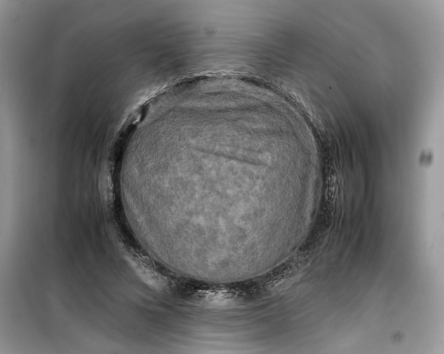 X0000099490688200805291107