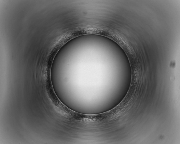 X0000099490690200805291107