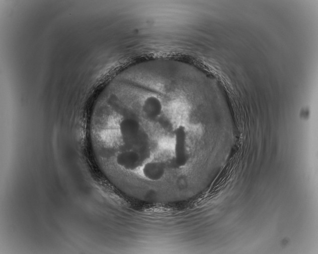 X0000099490691200805291107