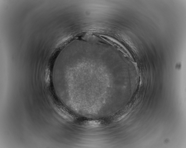 X0000099490692200805291107