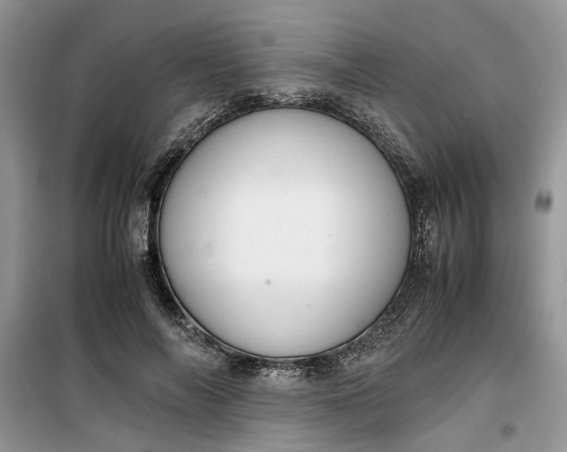 X0000099490694200805291107