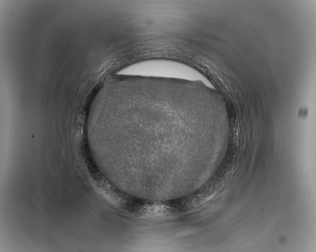 X0000099490695200805291107