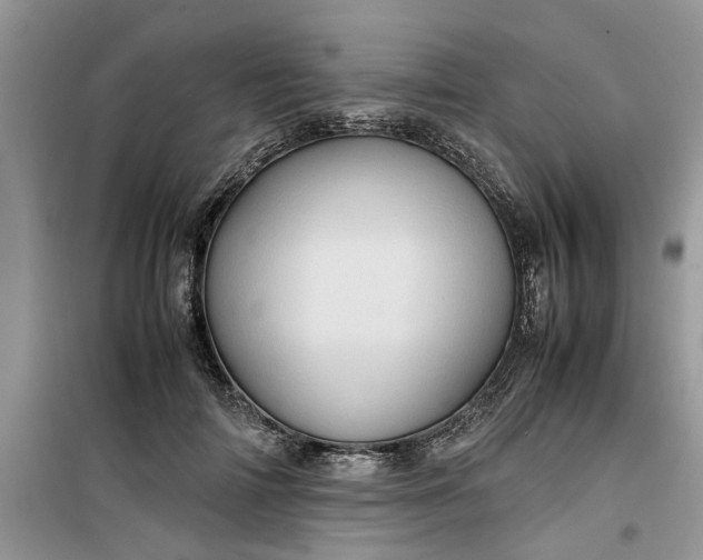 X0000099490698200805291107