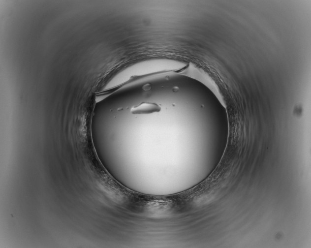 X0000099490700200805291107