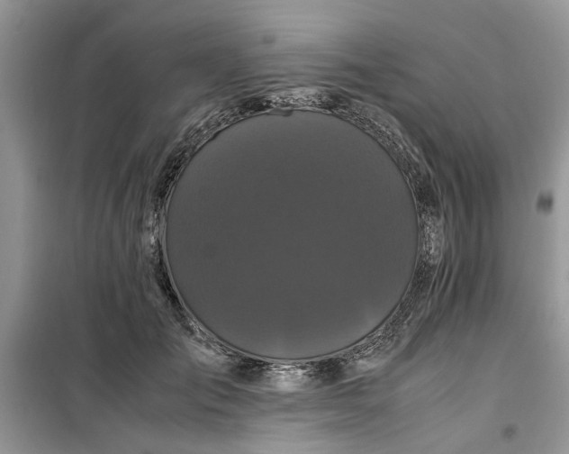 X0000099490701200805291107