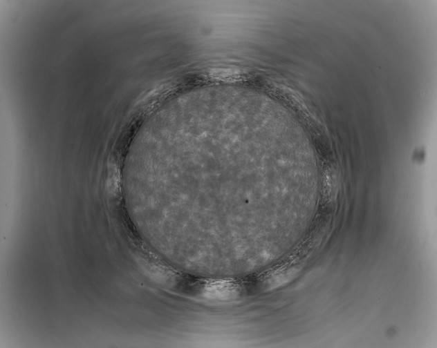 X0000099490705200805291107