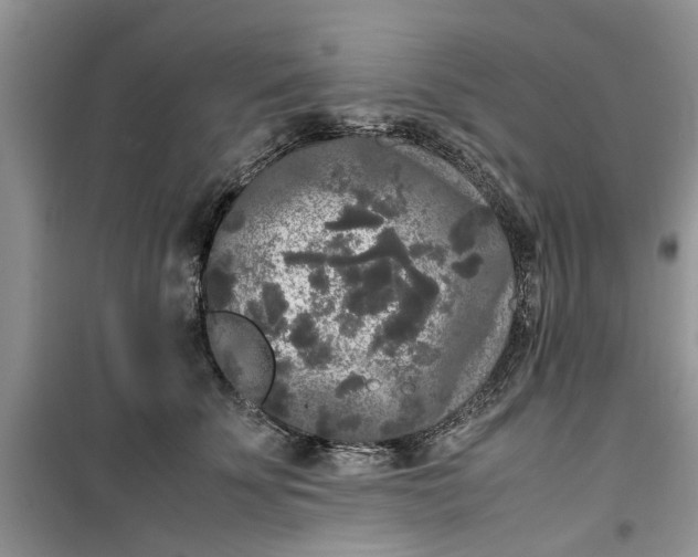 X0000099490707200805291107