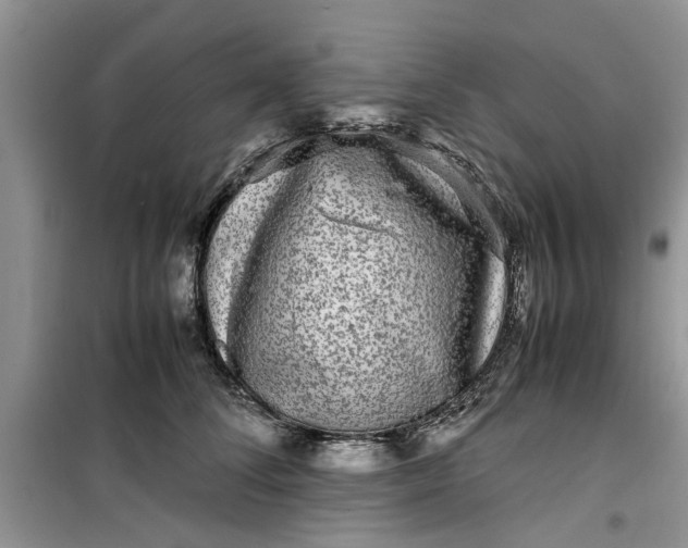 X0000099490708200805291107