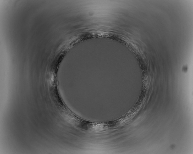 X0000099490709200805291107