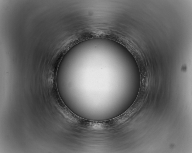 X0000099490710200805291107