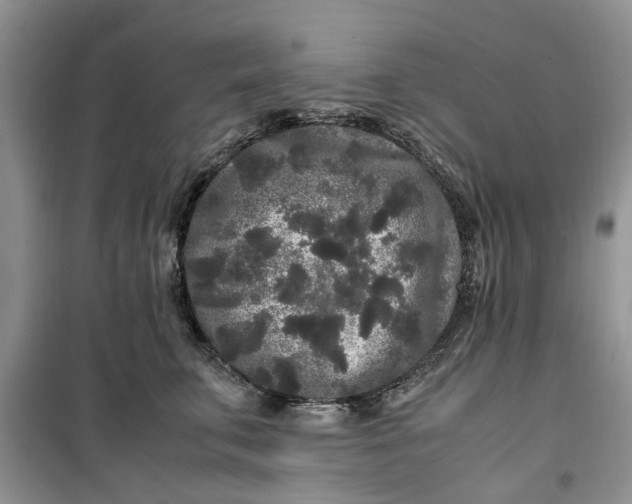 X0000099490711200805291107