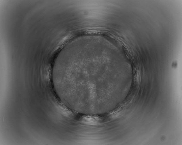 X0000099490712200805291107