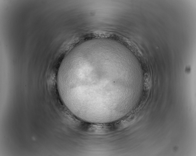 X0000099490713200805291107