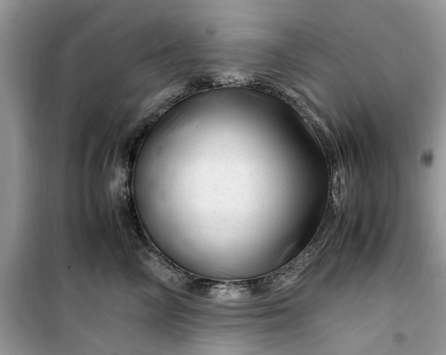 X0000099490714200805291107