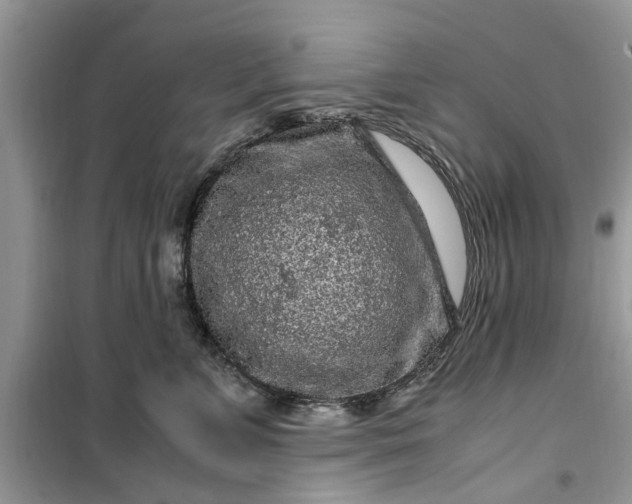 X0000099490715200805291107