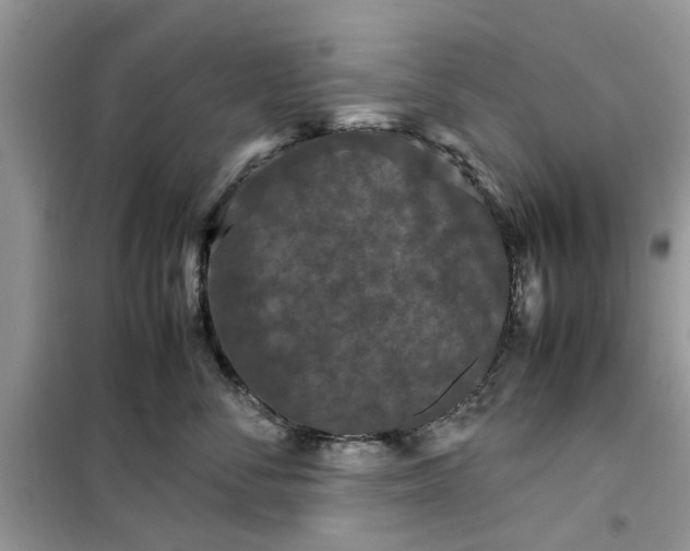 X0000099490716200805291107