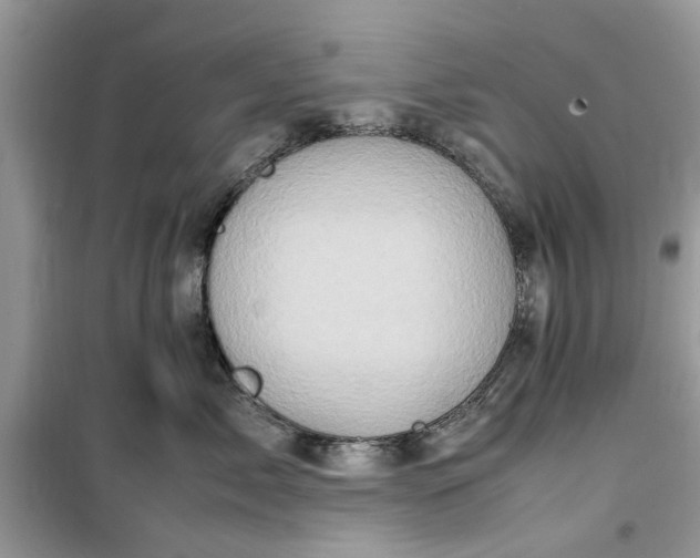 X0000099490717200805291107