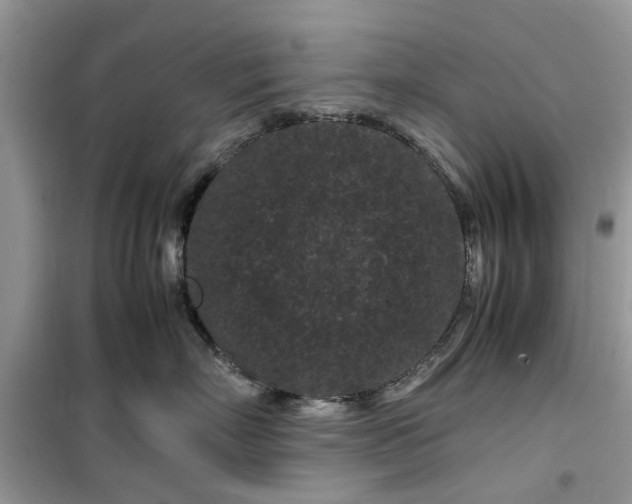 X0000099490718200805291107