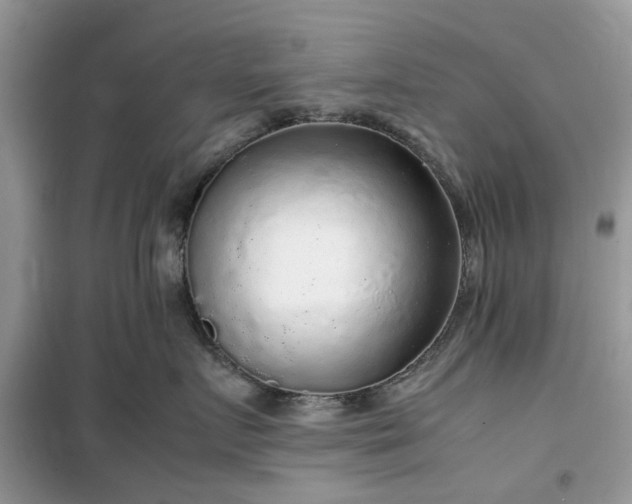 X0000099490719200805291107