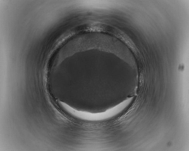 X0000099490722200805291106