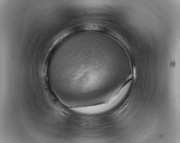 X0000099490723200805291106