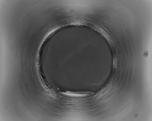 X0000099490724200805291106