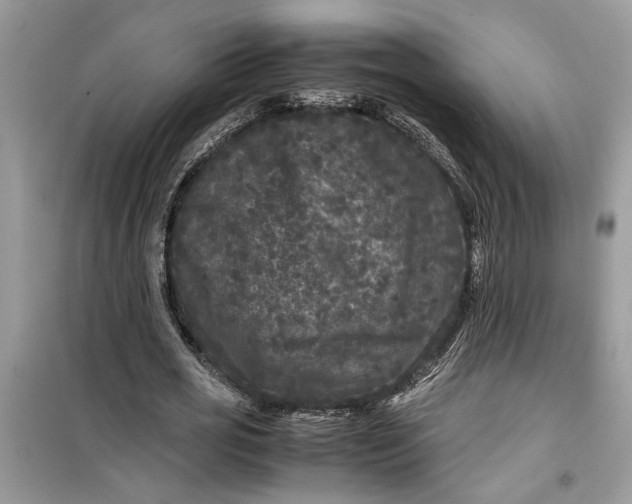 X0000099490725200805291106